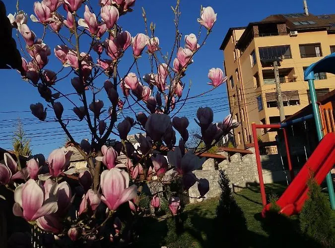 My House ホテル Kŭrdzhali